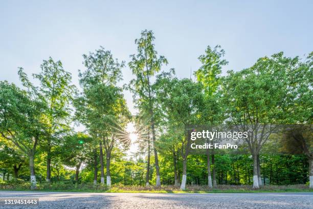 modern city park, concept of eco - smart street light stock pictures, royalty-free photos & images