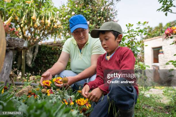 mother teaching her son about gardening in their back yard - legacy concept stock pictures, royalty-free photos & images