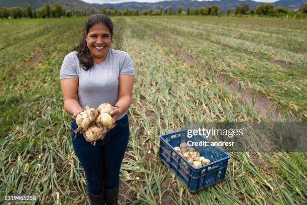 happy latin american woman harvesting onions at a farm - starving woman stock pictures, royalty-free photos & images