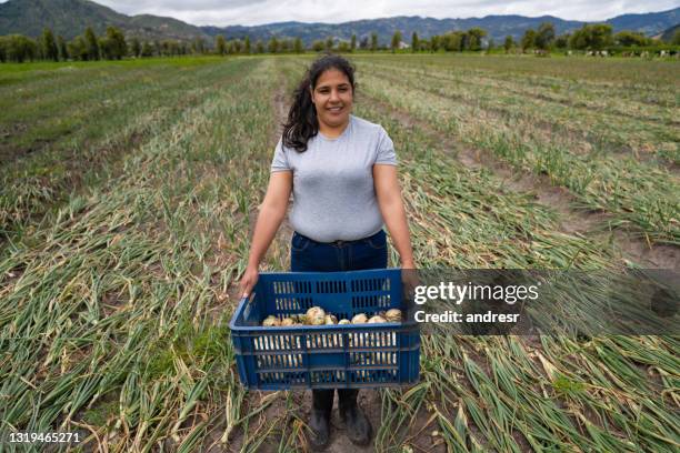 gelukkige latijns-amerikaanse landbouwer die uien bij een landbouwbedrijf oogst - agriculture happy stockfoto's en -beelden