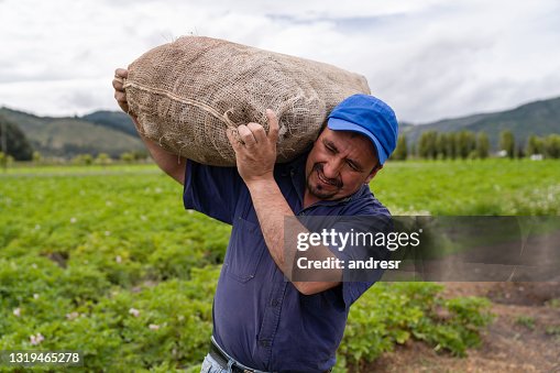 Latin American farmer carrying a sack of potatoes at a farm