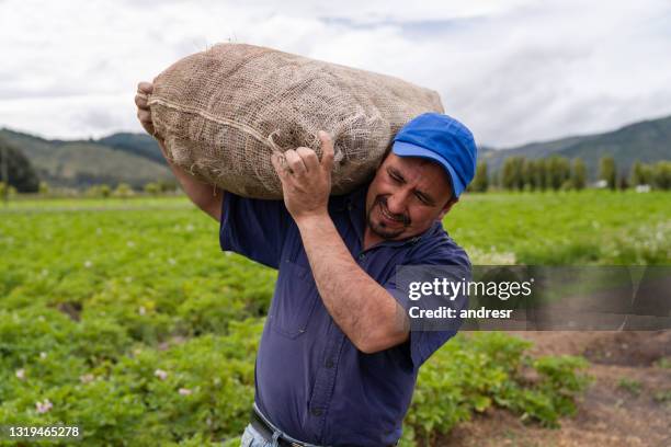 latin american farmer carrying a sack of potatoes at a farm - work effort stock pictures, royalty-free photos & images