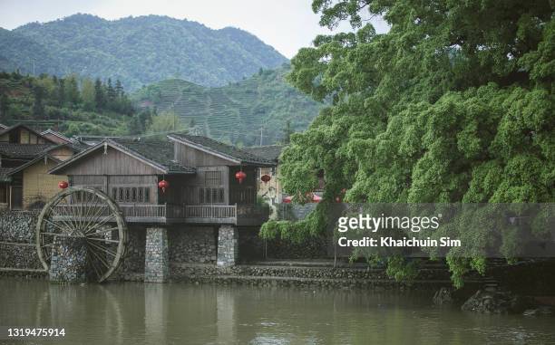 old house with watermill by the river, beside a big tree - big pharma stockfoto's en -beelden