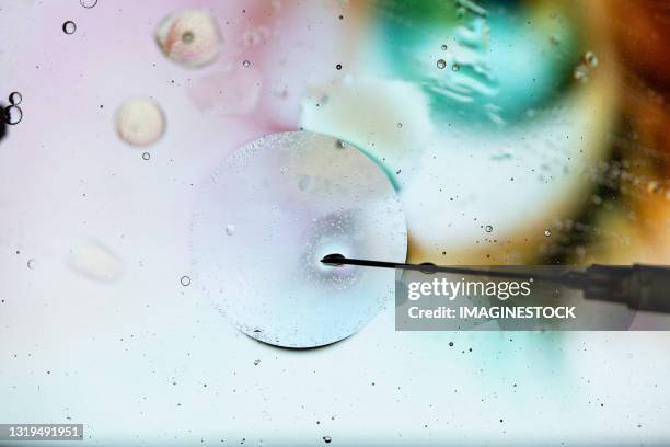 injecting cell with needle through microscope - infertilidad fotografías e imágenes de stock