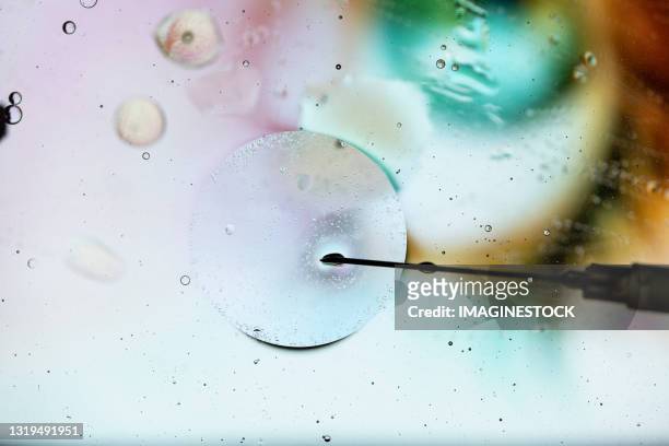 injecting cell with needle through microscope - fertilização in vitro imagens e fotografias de stock