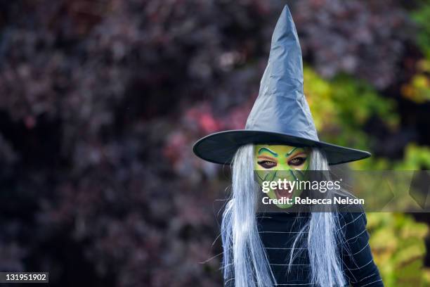 screaming witch - halloween 2011 stock pictures, royalty-free photos & images