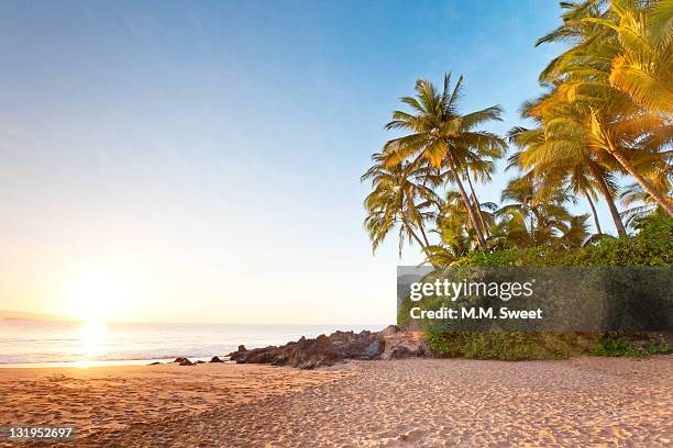 secret beach - beach sand and water hawaii stock-fotos und bilder