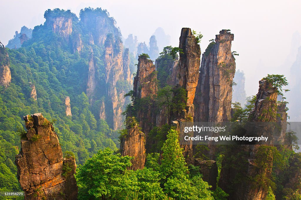 Amazing scenary of Prince (Tianzi) mountain, China