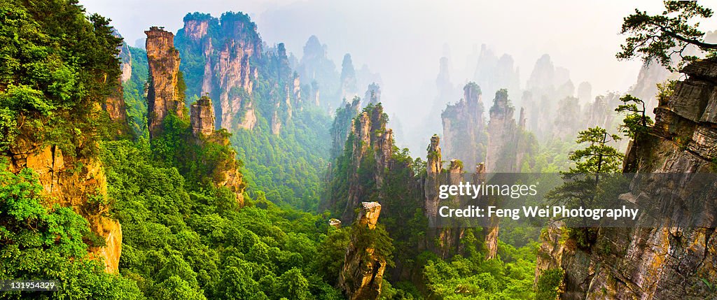 Prince (Tianzi) mountain, Zhangjiajie China