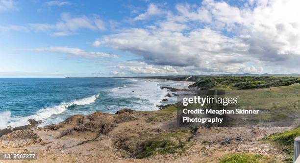 broom's head headland and coastline - new south wales beach stock pictures, royalty-free photos & images