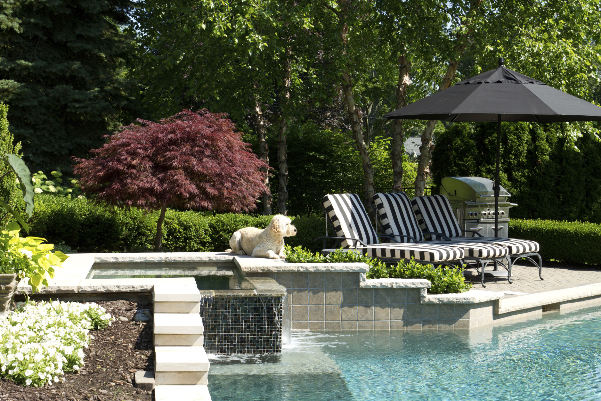 poolside landscaping