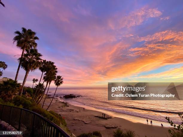 sunset beach palm trees - laguna beach stock-fotos und bilder