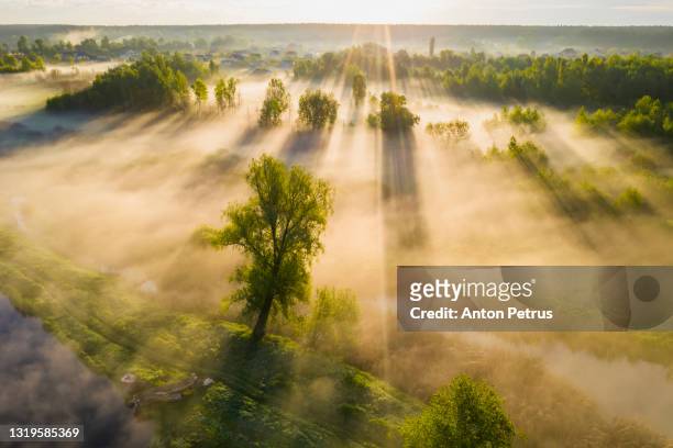 beautiful misty dawn in the spring on the river. aerial view - gewässer stock-fotos und bilder