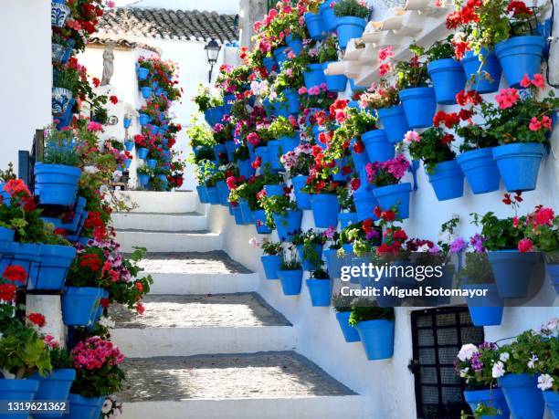 streets of blue and white - cordoba spain stock pictures, royalty-free photos & images