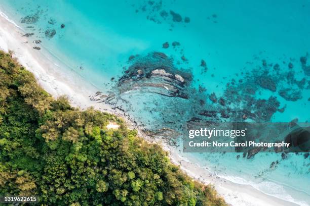 drone point of view of tropical jungle and beach in kudat sabah borneo malaysia - kota kinabalu beach stock pictures, royalty-free photos & images