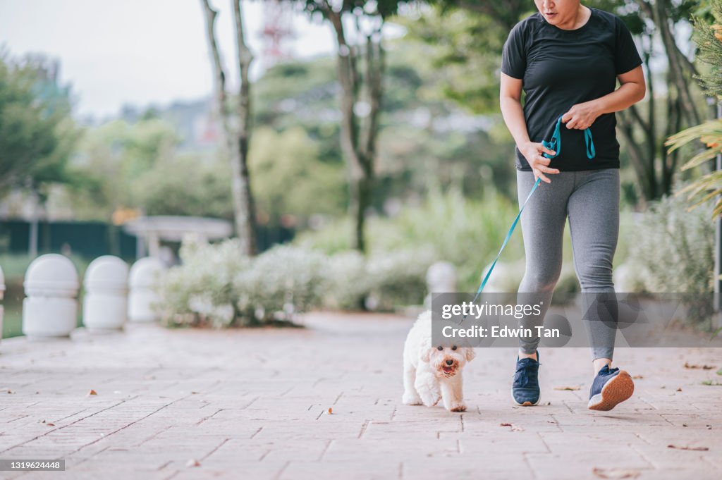 Asiatische chinesische mittlere erwachsene kurze Haare weiblich mit ihrem Haustier Hund Spielzeug Pudel in öffentlichen Park Bonding zusammen Morgen