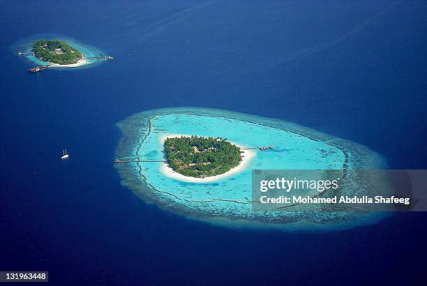 maldives: wonder of nature - malediven stock-fotos und bilder
