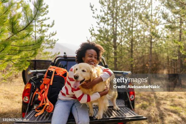 young woman on a road trip with her best friend - dog relax imagens e fotografias de stock
