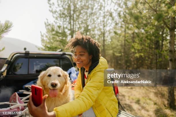 selfie from our road trip - pets selfie stock pictures, royalty-free photos & images