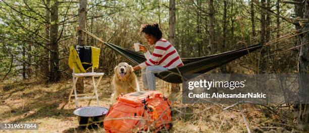 camping out with my dog - one animal stock pictures, royalty-free photos & images