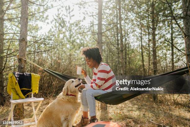 camping out with my dog - camping equipment stock pictures, royalty-free photos & images