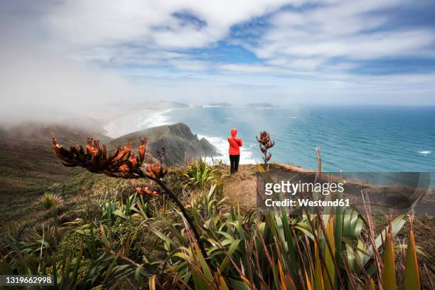 lone man admiring view of pacific ocean from edge of coastal cliff at cape reinga - northland new zealand stock pictures, royalty-free photos & images