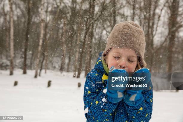 boy blowing snow from hands during winter - schnee pusten stock-fotos und bilder