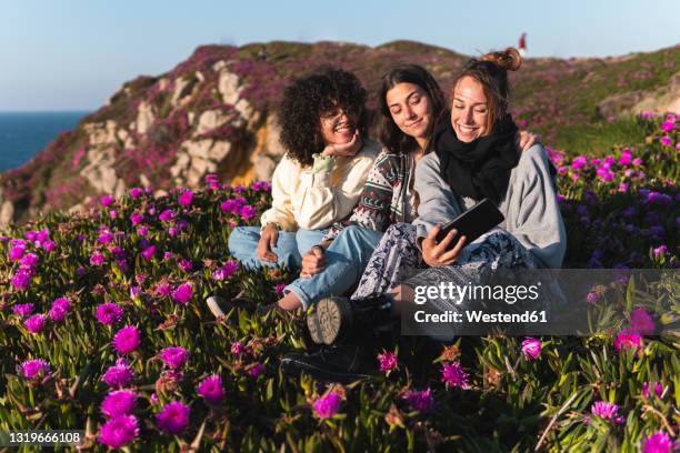 female friends sitting on carpobrotus edulis flower field - barrilha imagens e fotografias de stock