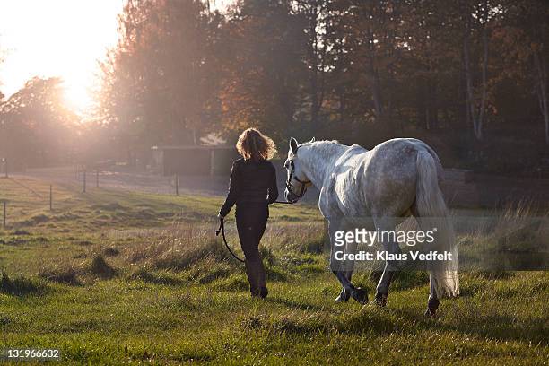 woman towards the sunset with her horse - meadow stock photos et images de collection