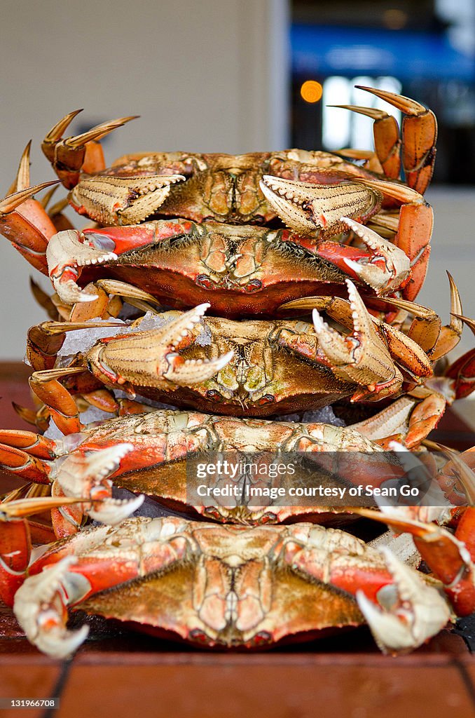 Stacked crabs