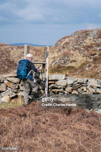 senior caucasian male carrying backpack and wearing cap crossing stile;image taken from the cambrian way between cwm bychan and croesor in gwynedd, north wales. april - monti cambriani foto e immagini stock