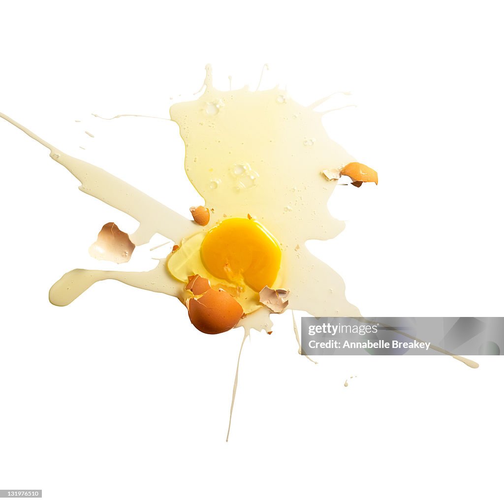 Egg Splat on White with Broken Yolk