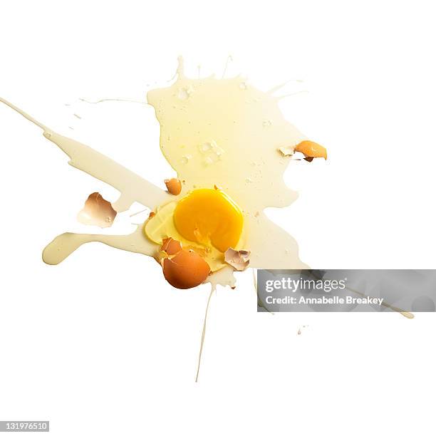 egg splat on white with broken yolk - broken egg bildbanksfoton och bilder