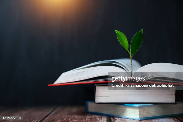 books and trees,education concept,growth - philosophy book stock pictures, royalty-free photos & images