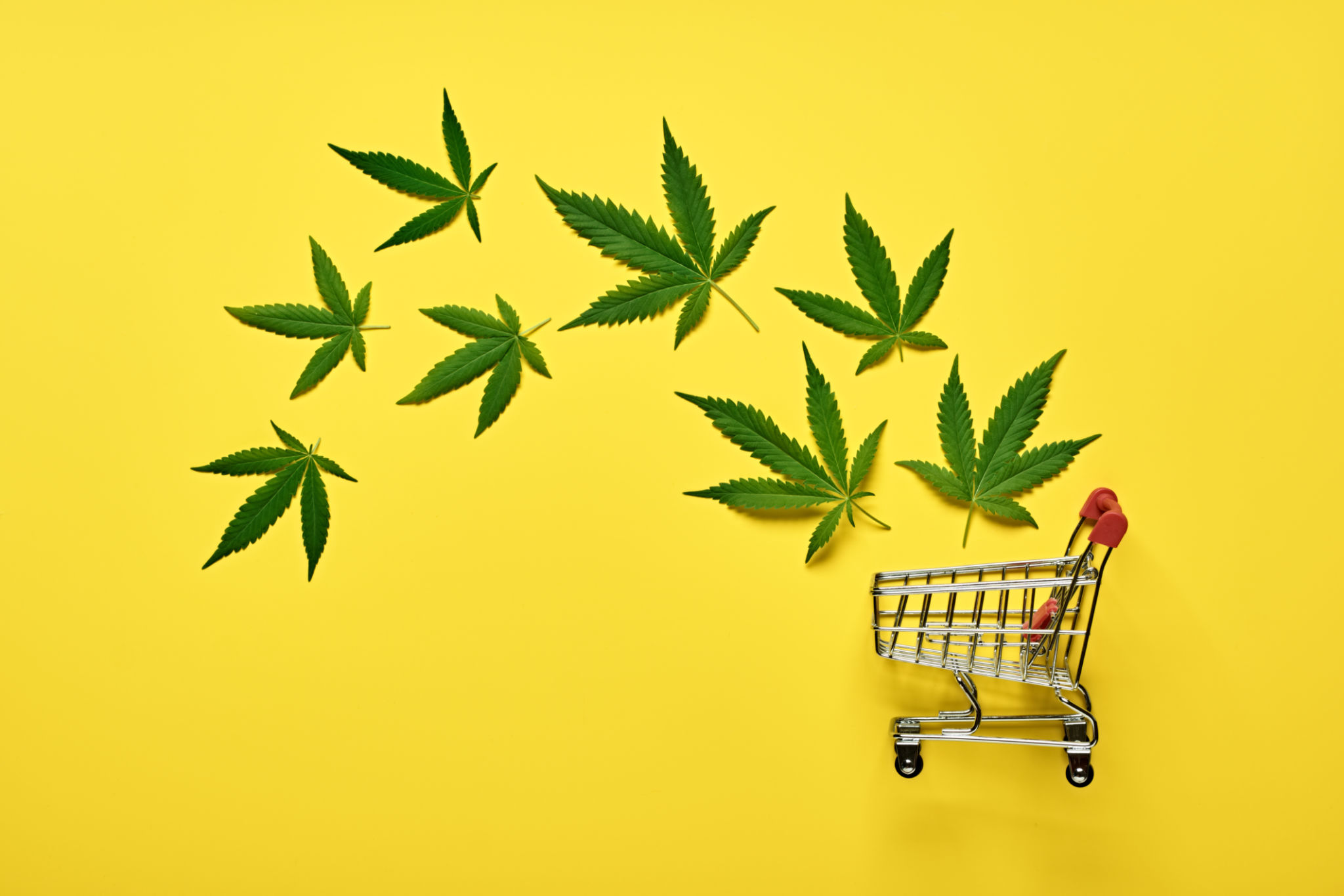cannabis sales trends