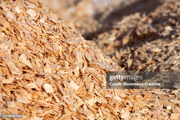 a pile of wood chips at a paper mill - chips on paper stock pictures, royalty-free photos & images