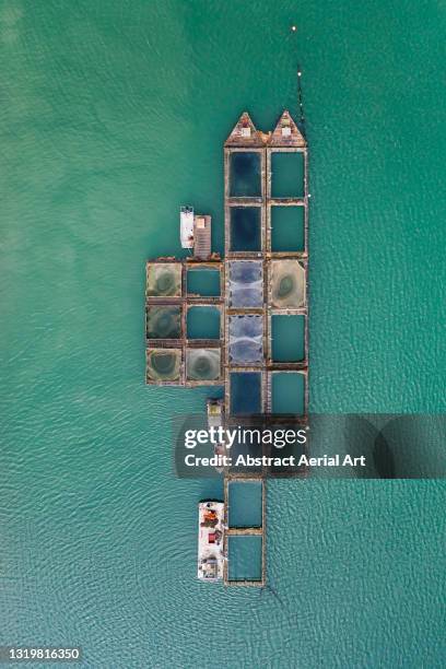 aquaculture structure floating in a sea channel seen from a drone perspective, brittany, france - sustainable fishing stock pictures, royalty-free photos & images