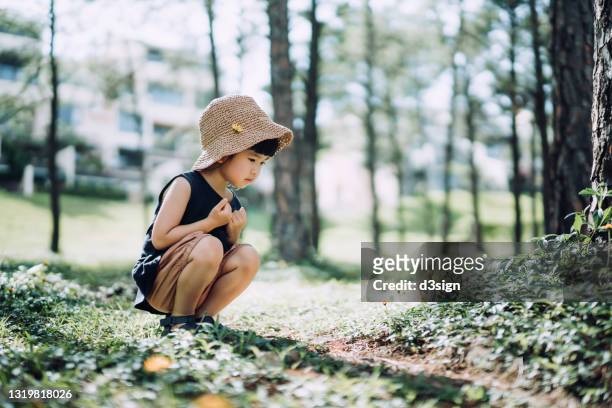 a curious little asian girl with straw hat looking at chamomile flowers in the woods, exploring in the nature under beautiful sunlight. family lifestyle. embracing the nature and outdoor fun - school life balance stock pictures, royalty-free photos & images