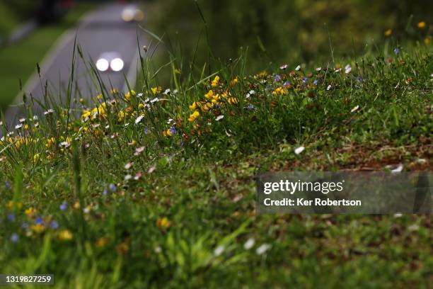 Cars head down Hawthorn Hill during the British GT Championship at Brands Hatch on May 23, 2021 in Longfield, England.