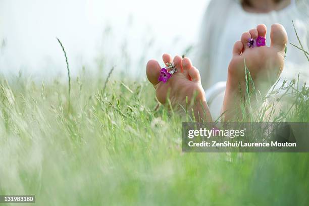 barefoot young woman sitting in grass with wildflowers between toes, cropped - barefoot foto e immagini stock