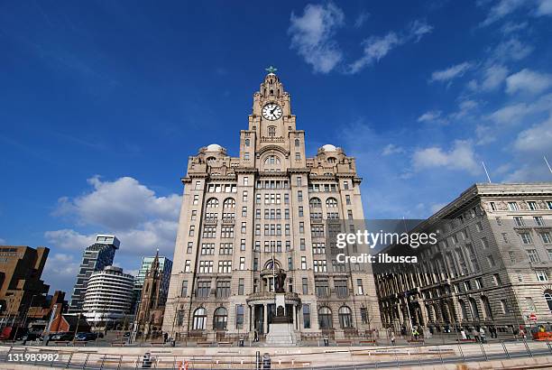 royal liver building in liverpool - royal liver building stock pictures, royalty-free photos & images