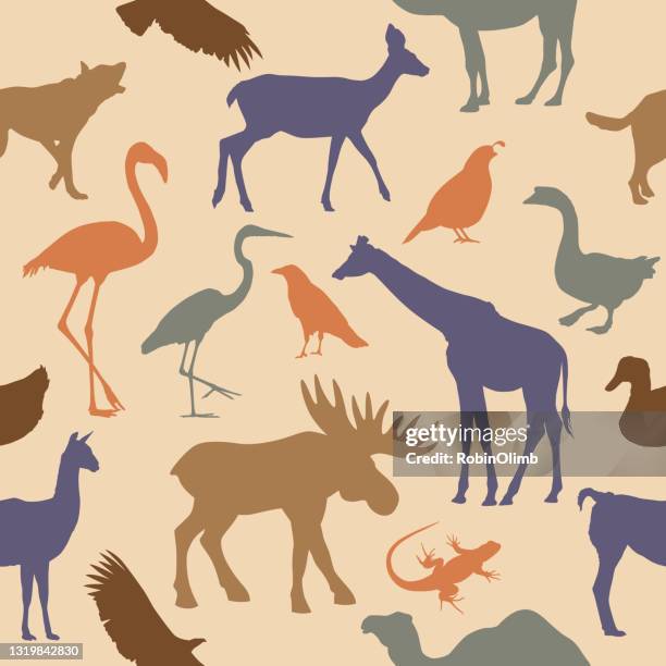 animals seamless pattern - quail bird stock illustrations