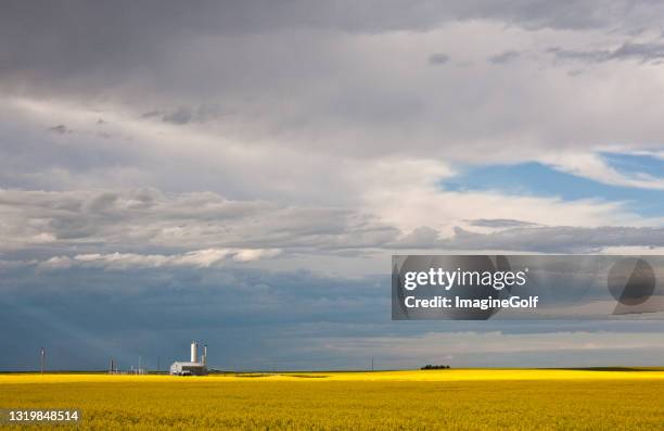 natural gas plant in alberta canola field - biofuel stock pictures, royalty-free photos & images