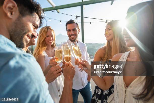 gruppe von freunden trinken champagner bei sonnenuntergang. - picknick edel stock-fotos und bilder