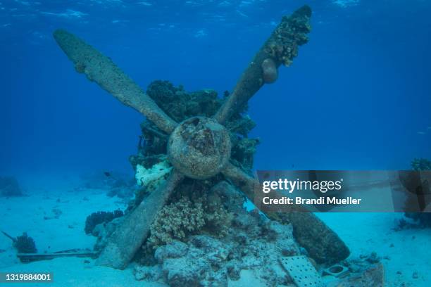 underwater in saipan - guerra do pacífico - fotografias e filmes do acervo