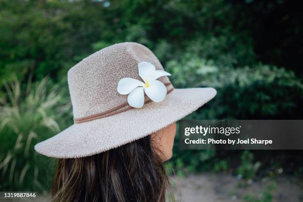 a woman with a frangipani flower in her hat - wide brim stock-fotos und bilder