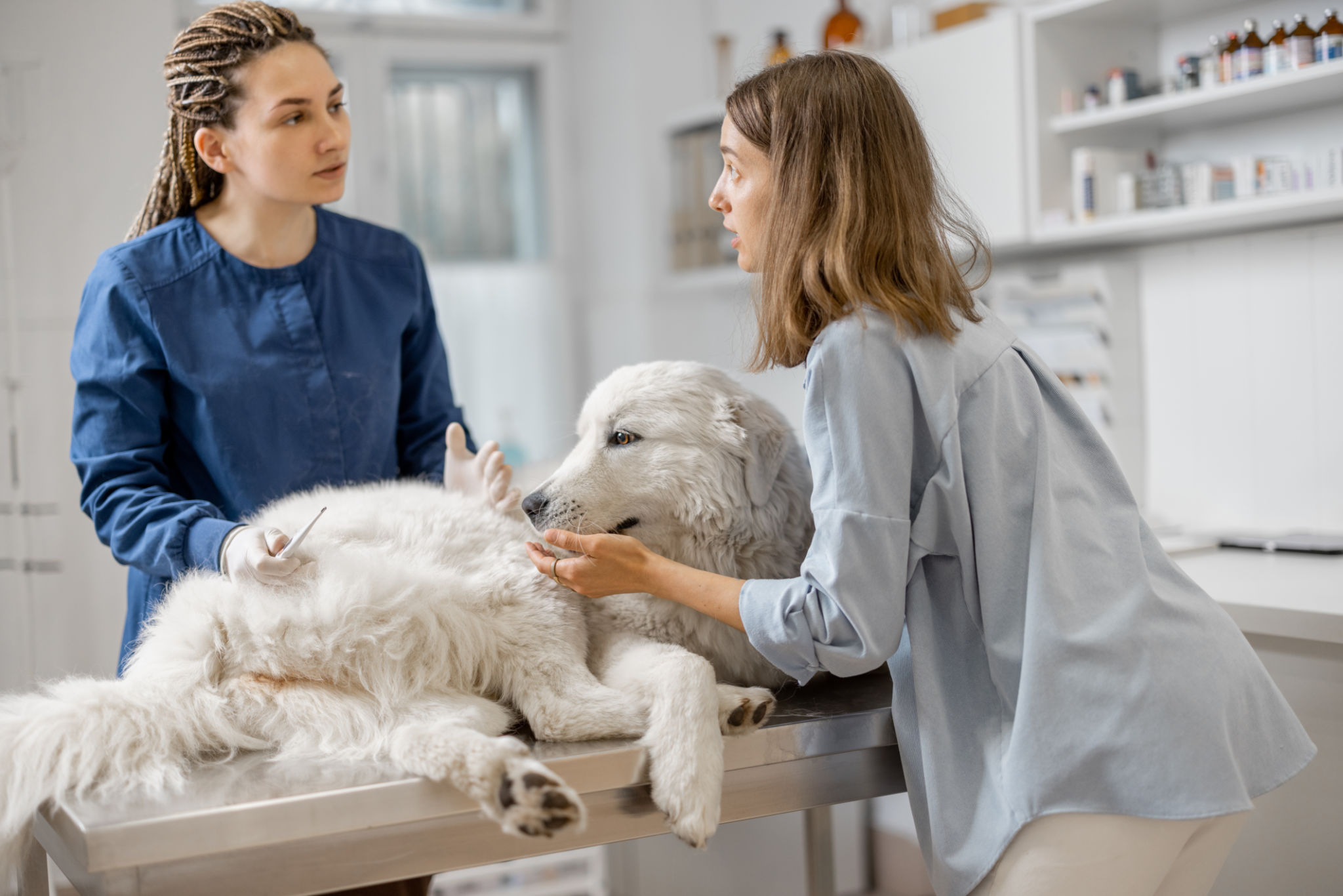 pet owner review
