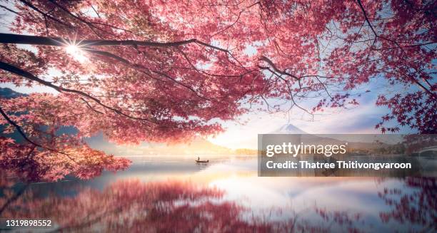 colorful autumn season and mountain fuji with morning fog and red leaves at lake kawaguchiko is one of the best places in japan - cherry blossom fotografías e imágenes de stock