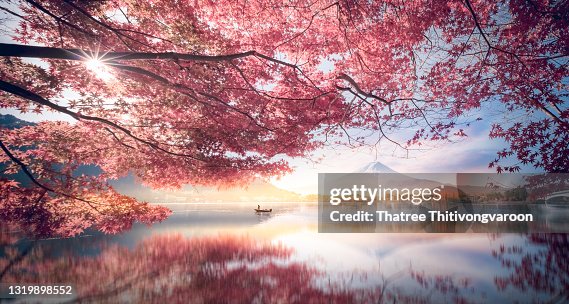 Colorful Autumn Season and Mountain Fuji with morning fog and red leaves at lake Kawaguchiko is one of the best places in Japan Colorful Autumn Season and Mountain Fuji with morning fog and red leaves at lake Kawaguchiko is one of the best places in Japan