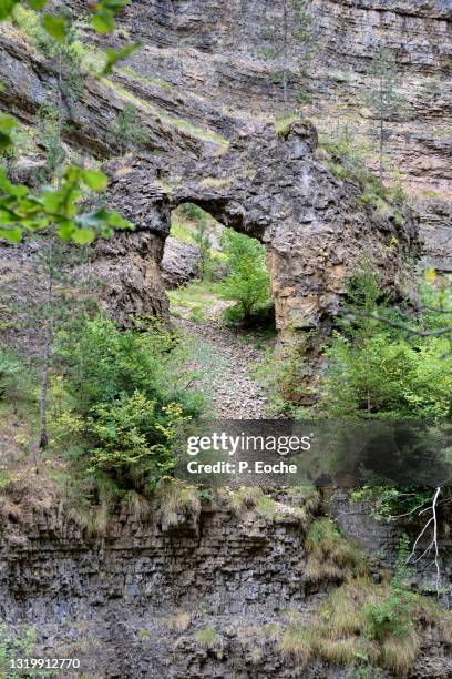 abyss of bramabiau, cavity from which arises an underground river - cevennes stock pictures, royalty-free photos & images